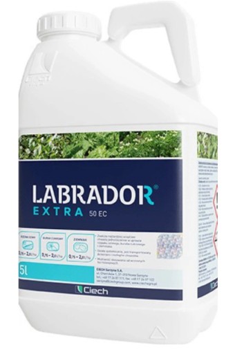 Labrador Extra 50 EC 5L CHWASTY JEDNOLIŚCIENNE