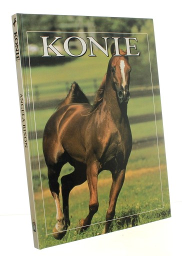 Konie Angela Rixon (1996)