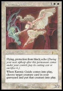 Karmic Guide 