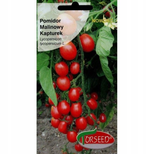 POMIDOR MALINOWY KAPTUREK -0,1 GRAMA