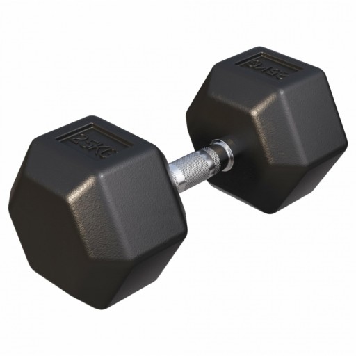 Hantla 25kg żeliwna gumowana profesjonalna HANTEL