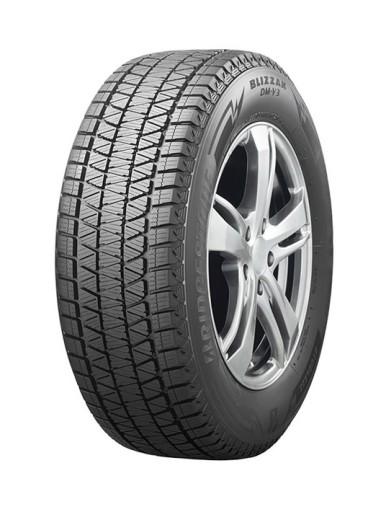 2X 255 / 55R20 Bridgestone BLIZZAK DM-V3 110T XL