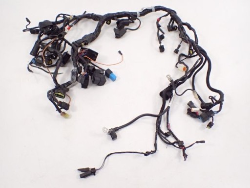 Жгут проводов Triumph Thunderbird 1700