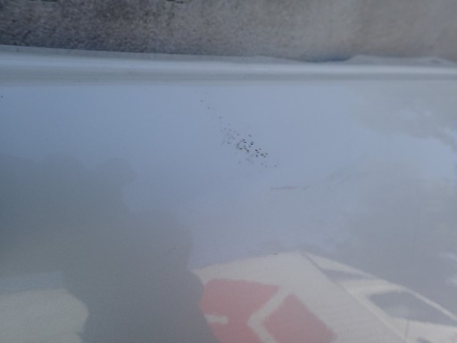 fender right front front MERCEDES E KLASA 212