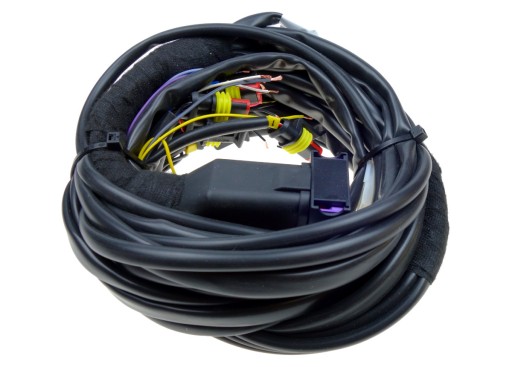 70967 - Джгут проводів Europegas BASICO 24 4 CYL