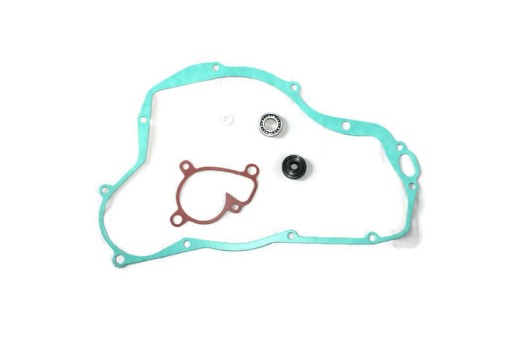 57.3423 - КОМПЛЕКТ ДЛЯ РЕМОНТУ ВОДЯНОГО НАСОСА RM 250 03-08