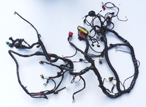 ЭЛЕКТРОПРОВОДКА TRIUMPH AMERICA BONNEVILLE