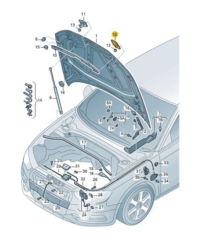 8V0823186C - Болт замок капота переднее ухо AUDI A3 8V правый ASO