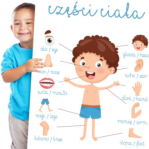 НАВЧАЛЬНИЙ ПЛАКАТ хлопчик плакати ЧАСТИНИ ТІЛА