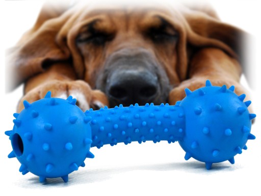 Zabawka Z Dzwoneczkiem Smakula Dla Kota Psa Kość