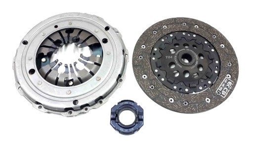 028141025P - ЗАЖИМ + ДИСК + ПОДШИПНИК ORG 220 ММ OCTAVIA 1.9 TDI