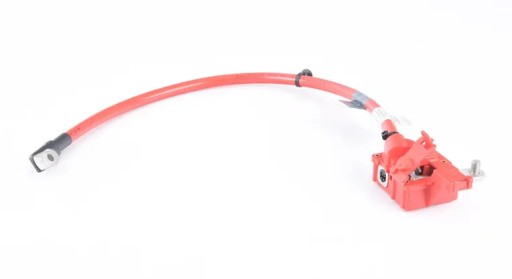 61129321005 - Кабель плюс акумулятор BMW X3 F25 оригінал