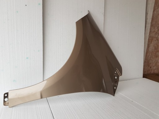 fender left front front MERCEDES A-KLASA 169