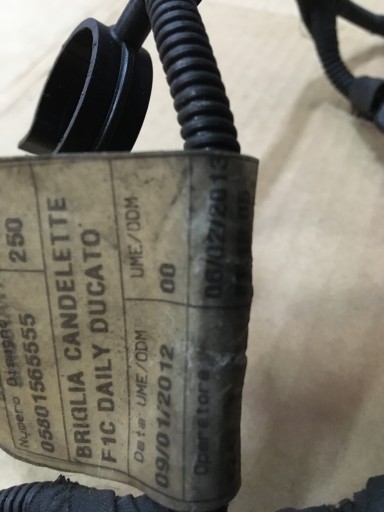 DUCATO lift 14- 2.3JTD bundle plugs ZAROWYCH EURO5