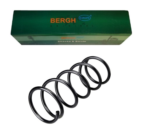 RA0019 - Пружина передняя HONDA Odyssey II 1998-2004