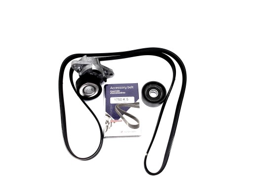 7701477517 - НАТЯЖИТЕЛЬ РЕМНЯ ГЕНЕРАТОРА 1.4 1.6 16V THALIA