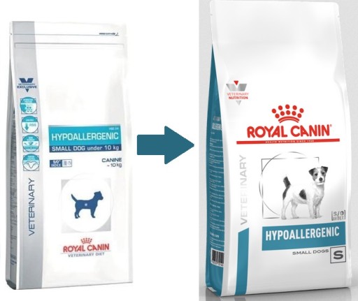 royal hypoallergenic small dog