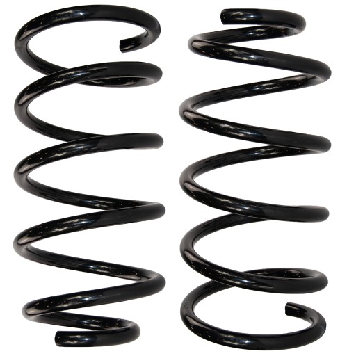 GT20938x2 - Пружини підвіски x2 задні fiat punto ii 1999- 1.2 1.9 jtd