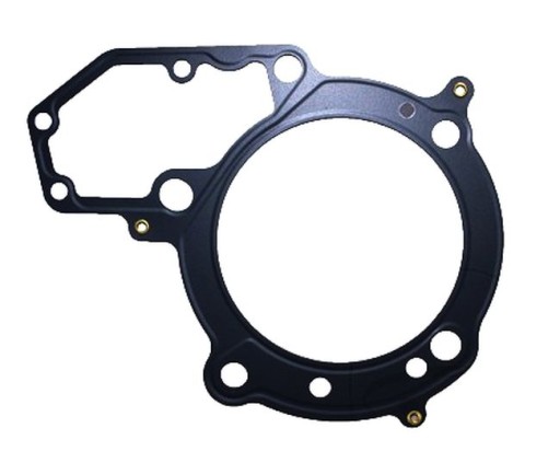 735.22.22 - ПРОКЛАДКА ГОЛОВКИ BMW R 1150 R ROADSTER 01-02