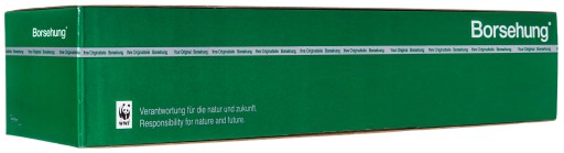 Borsehung B18228 цепь, привод масляного насоса