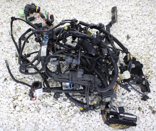 8583573 - F06 f12 джгут двигуна 313 км n57z 4.0xd n57d30b