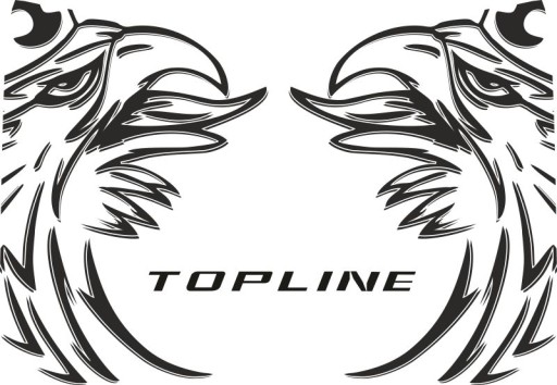 Наклейки шпон SCANIA TOPLINE_v15_green