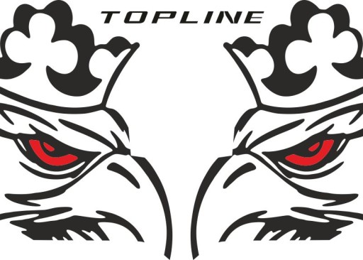 Наклейки шпон SCANIA TOPLINE_v22_green