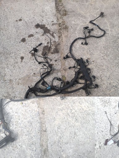 Джгут проводів двигуна mercedes w203 a6461502833