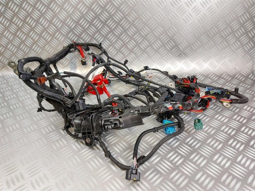 P240113784R - Монтажний джгут двигуна sandero stepway ii 0.9