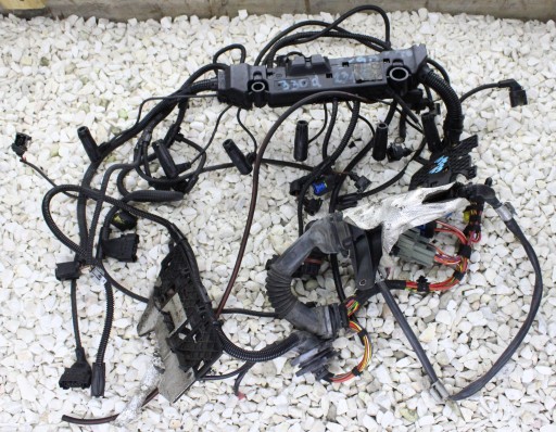 7804831 - E90 e92 жгут проводов двигателя 330d 231km m57n2 автомат