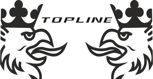 Наклейки шпон SCANIA TOPLINE_v29_green