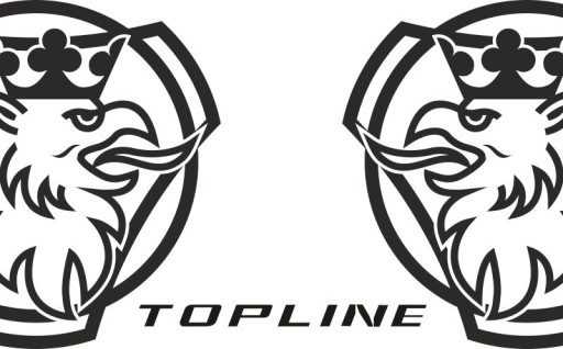 Наклейки шпон SCANIA TOPLINE_v28_green