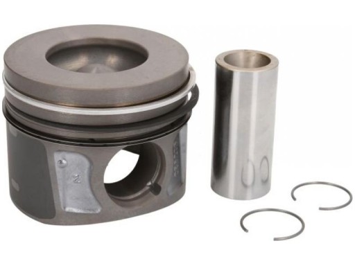 Колбеншмидт 41072600 Поршень