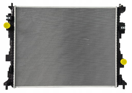 LX618005AC - Ford kuga iii / ford escape 1.5eb 2.5 hybrid plug 2020 - водяний радіатор