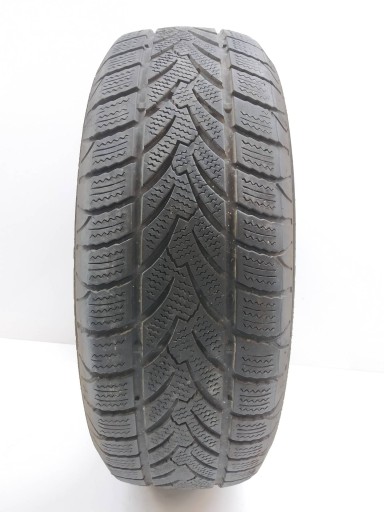 tyre winter PLATIN RP60 WINTER 195/65R15 (4318) 6.14