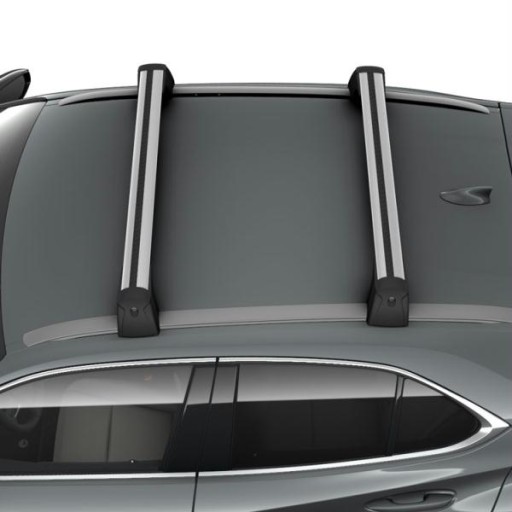 БАГАЖНИК НА ДАХ ОРИГІНАЛЬНИЙ LEXUS UX