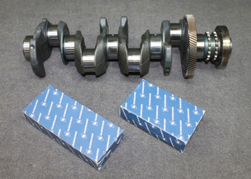BMW E81 E90 F30 F10 F25 - 1.8D 2.0D N47 N47D20A N47D20C ALBERO MOTORE PANEWKI