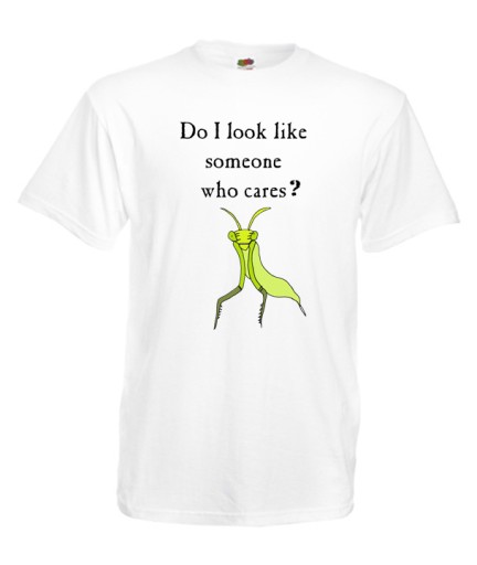 XL KOSZULKA MĘSKA DO I LOOK LIKE ONE WHO CARES? 10655916786 Odzież Męska T-shirty NH YXEQNH-4