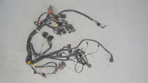 123453396 - TRIUMPH SPEED TRIPLE 955 электропроводка