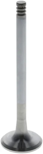 04280049 - Випускний клапан