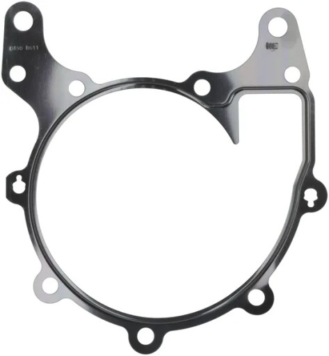 04908611 - Тюлень