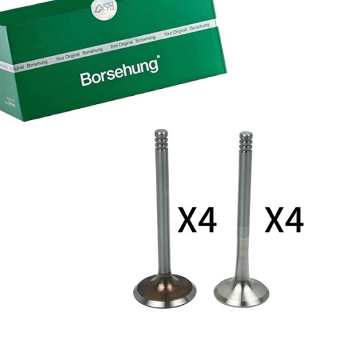 B18642 - ВИХЛОПНІ ВСМОКТУВАЛЬНІ КЛАПАНИ KPL BORSEHUNG