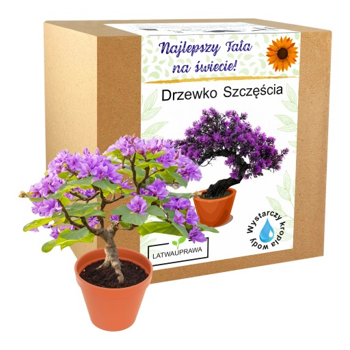 Apák napi ajándék boldogságfa bonsai ajándék apák napjára