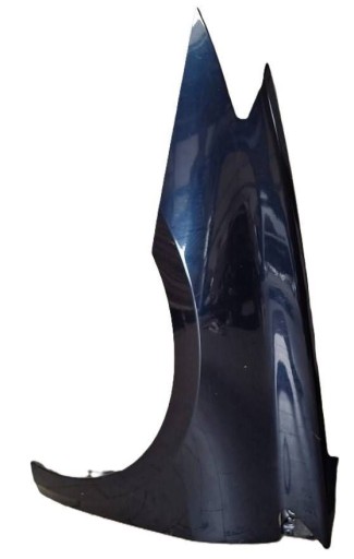 fender front left RENAULT LAGUNA III STAN B.DOBRY W colour