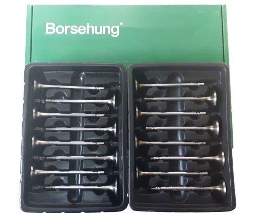 B18629 - 8 + 8 выпускные всасывающие клапаны org GOLF 5 6 7 2.0 TDi