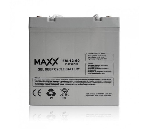 B0010 - ГЕЛЕВАЯ БАТАРЕЯ 12-FM-60 60AH 12V