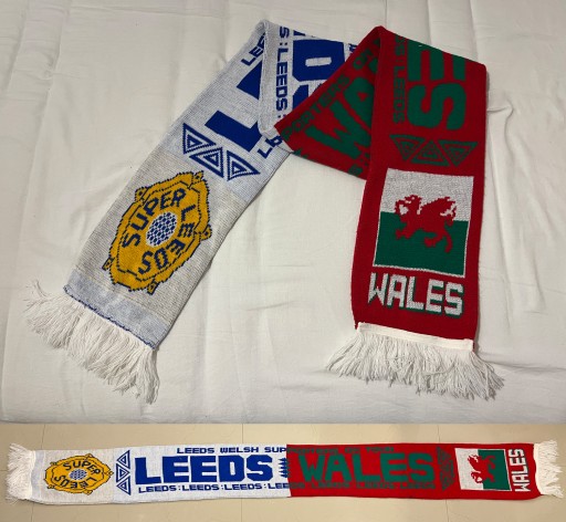 SZAL Leeds United (уболівальники Уельсу)