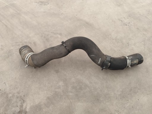 FORD FOCUS MK4 crijevo prijenos vode