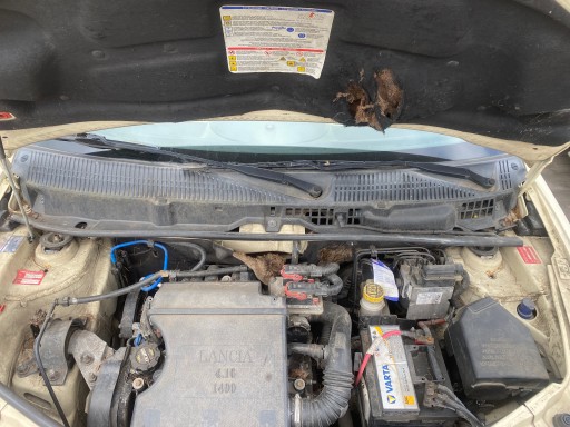 Lancia Ypsilon 03-09 torpedo