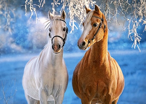 Пазл Castorland 260 ел Пазл 260 The Winter Horses 27378